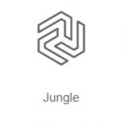 Jungle - Радио Рекорд