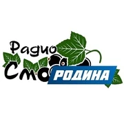 Радио Смородина Сарапул 106.8 FM