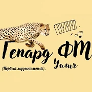 Гепард FM